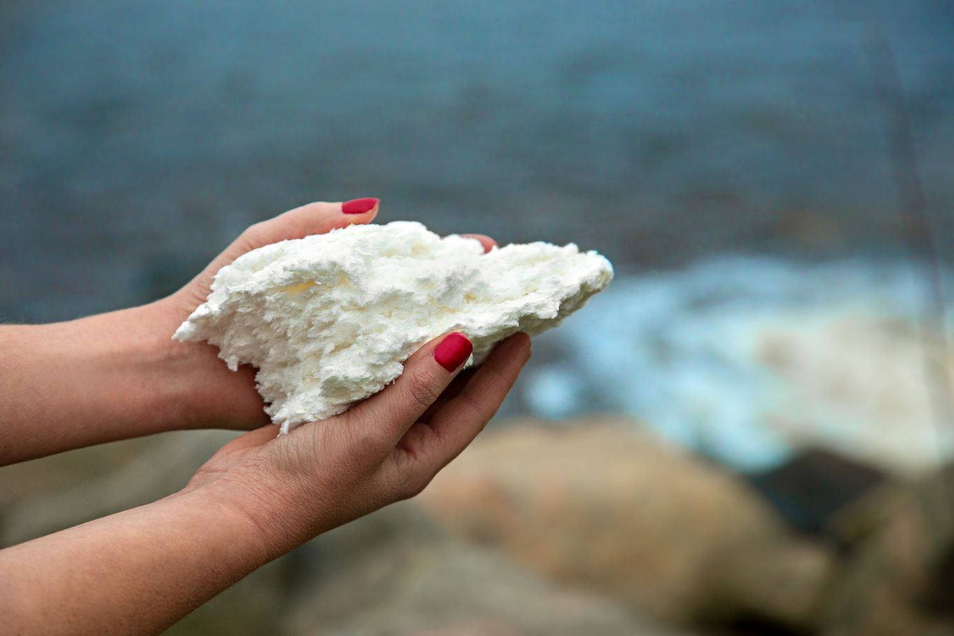 Bleached pulp in front of the sea