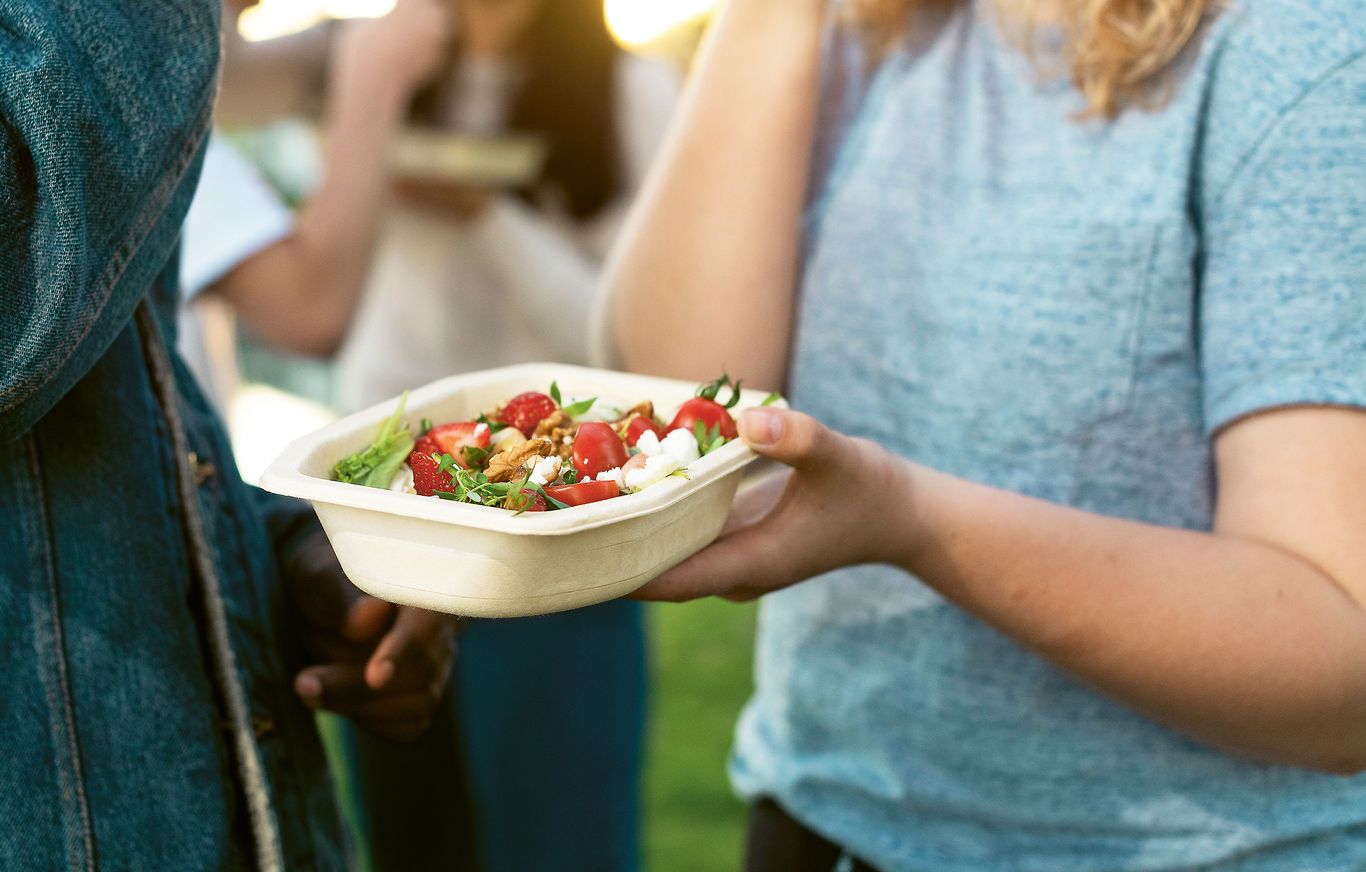 Picnic in the park