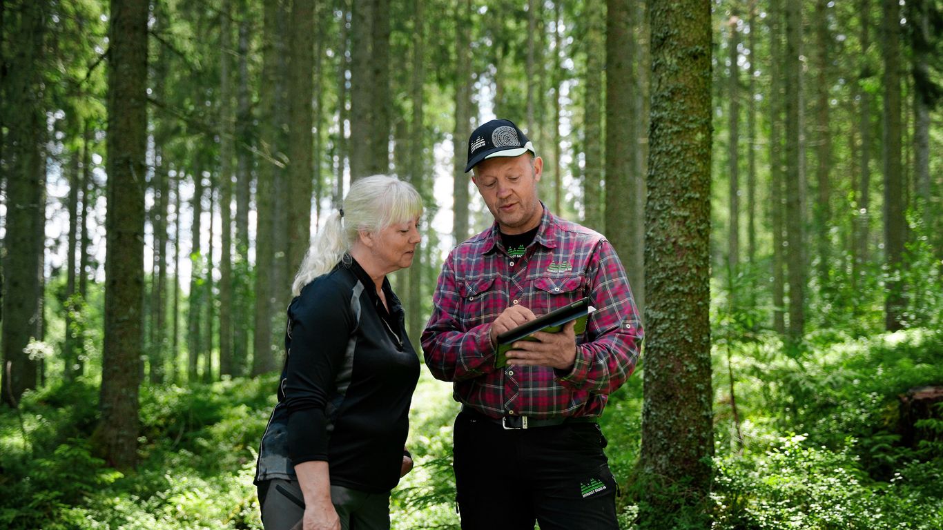 timber buyer-in-forest-with-forest owner